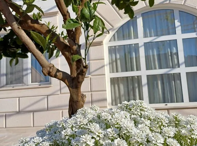 Jaksic Lägenhet Trogir