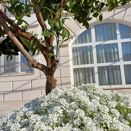 Jaksic Apartament Trogir